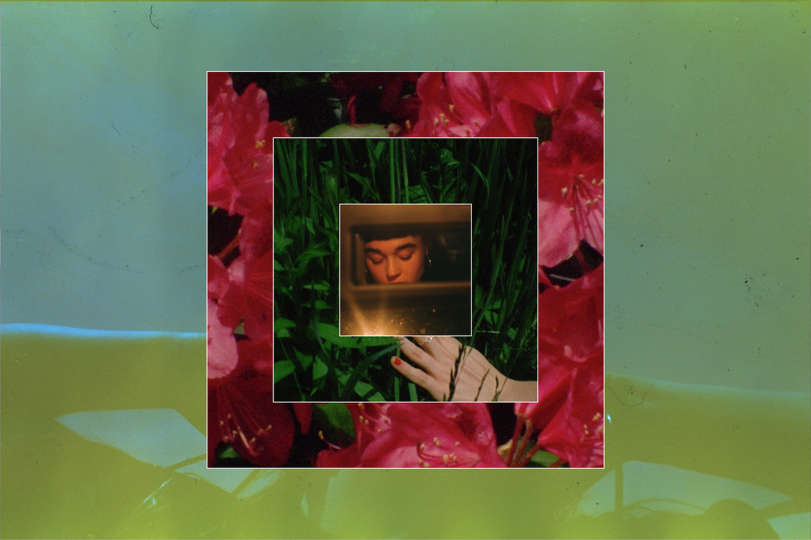A still frame from a video collage, featuring an obscured face, hand, and flora, framed in concentric squares.